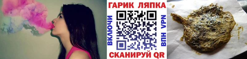 ГАШ Premium  Купить  Курлово 