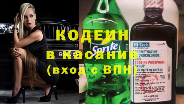 трава Гусиноозёрск