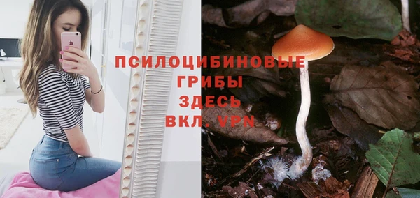 таблы Гусь-Хрустальный