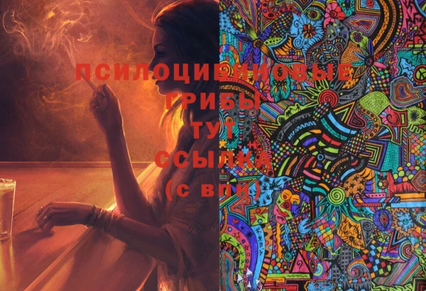 таблы Гусь-Хрустальный