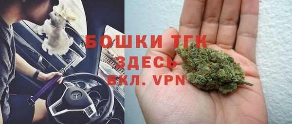 трава Гусиноозёрск
