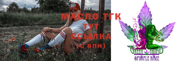 тгк Дмитров