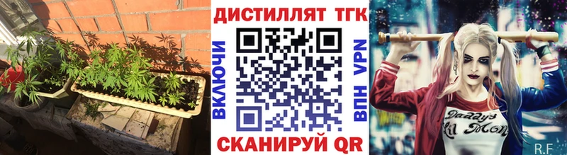 Купить где  Курлово  Дистиллят ТГК концентрат 