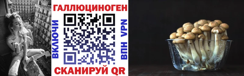Купить где  Курлово  Псилоцибиновые грибы MAGIC MUSHROOMS 