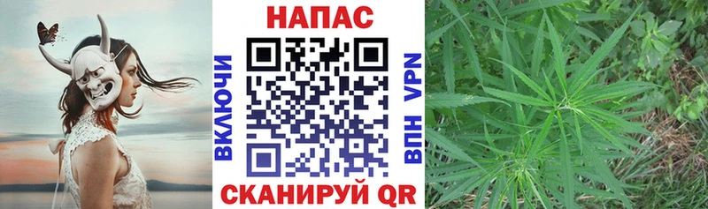 Каннабис AK-47 Курлово